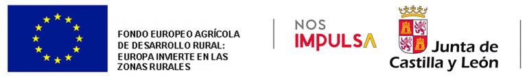 Nos Impulsa Junta de Castilla y León